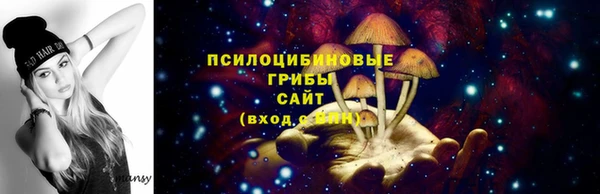 Альфа ПВП Нефтегорск